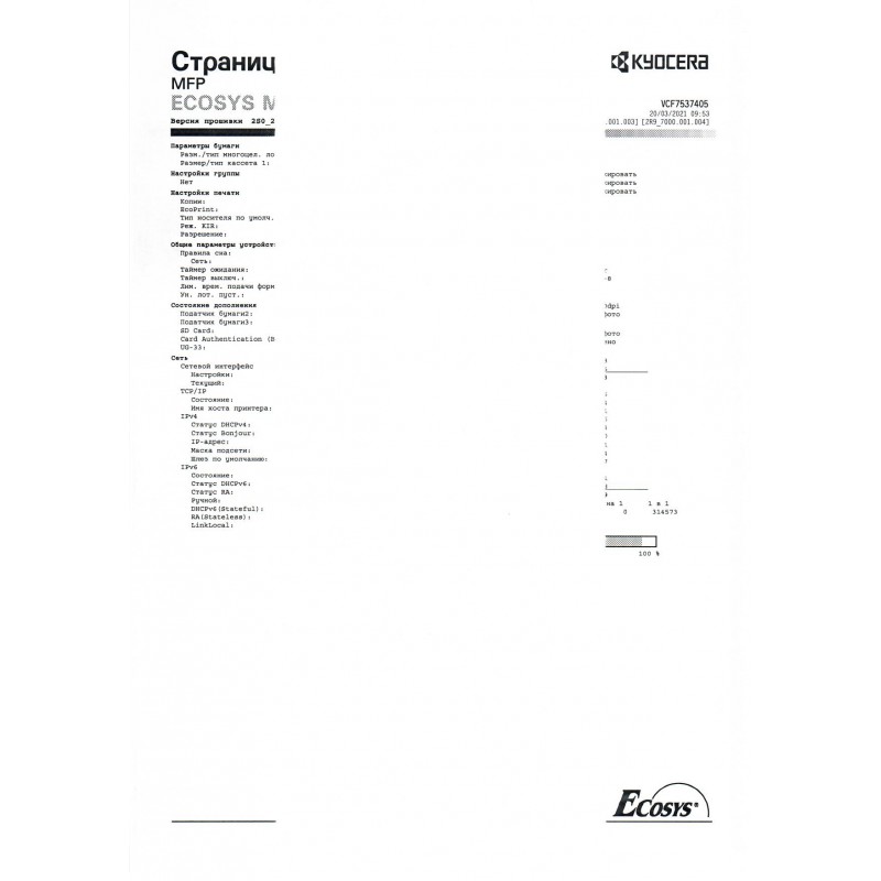 Белая полоса по центру листа